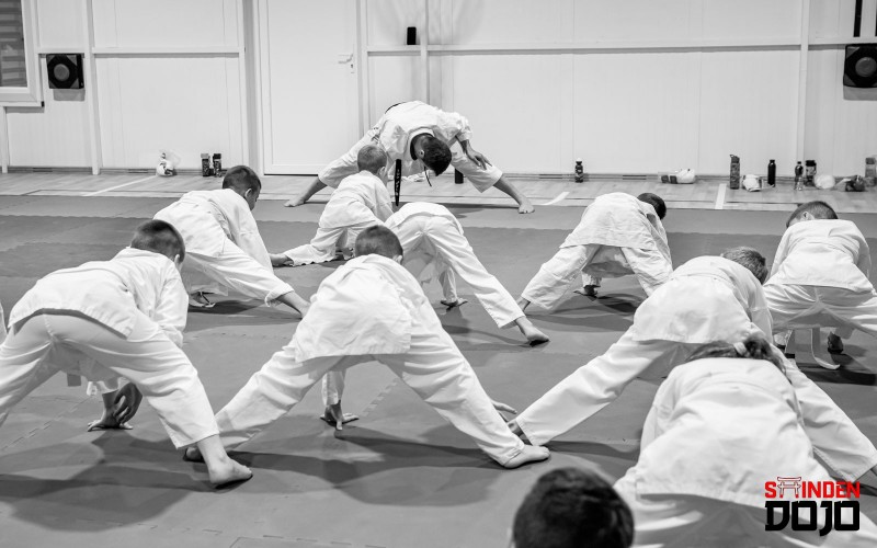 Karate*