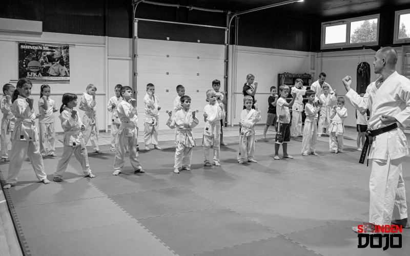 Karate*
