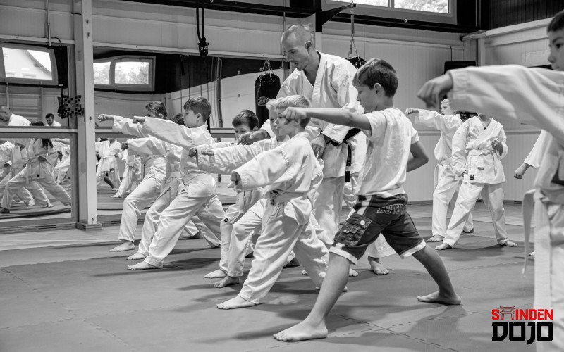 Karate*