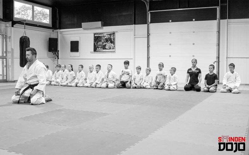 Karate*