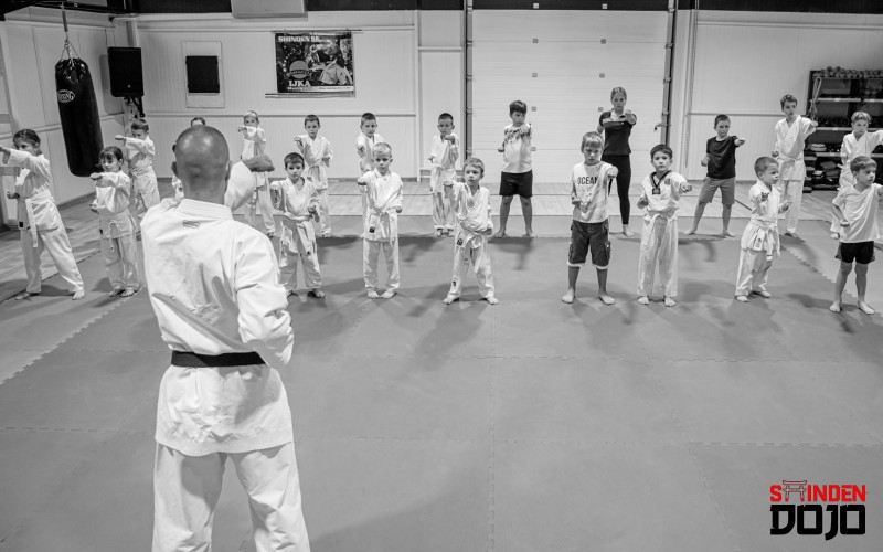 Karate*